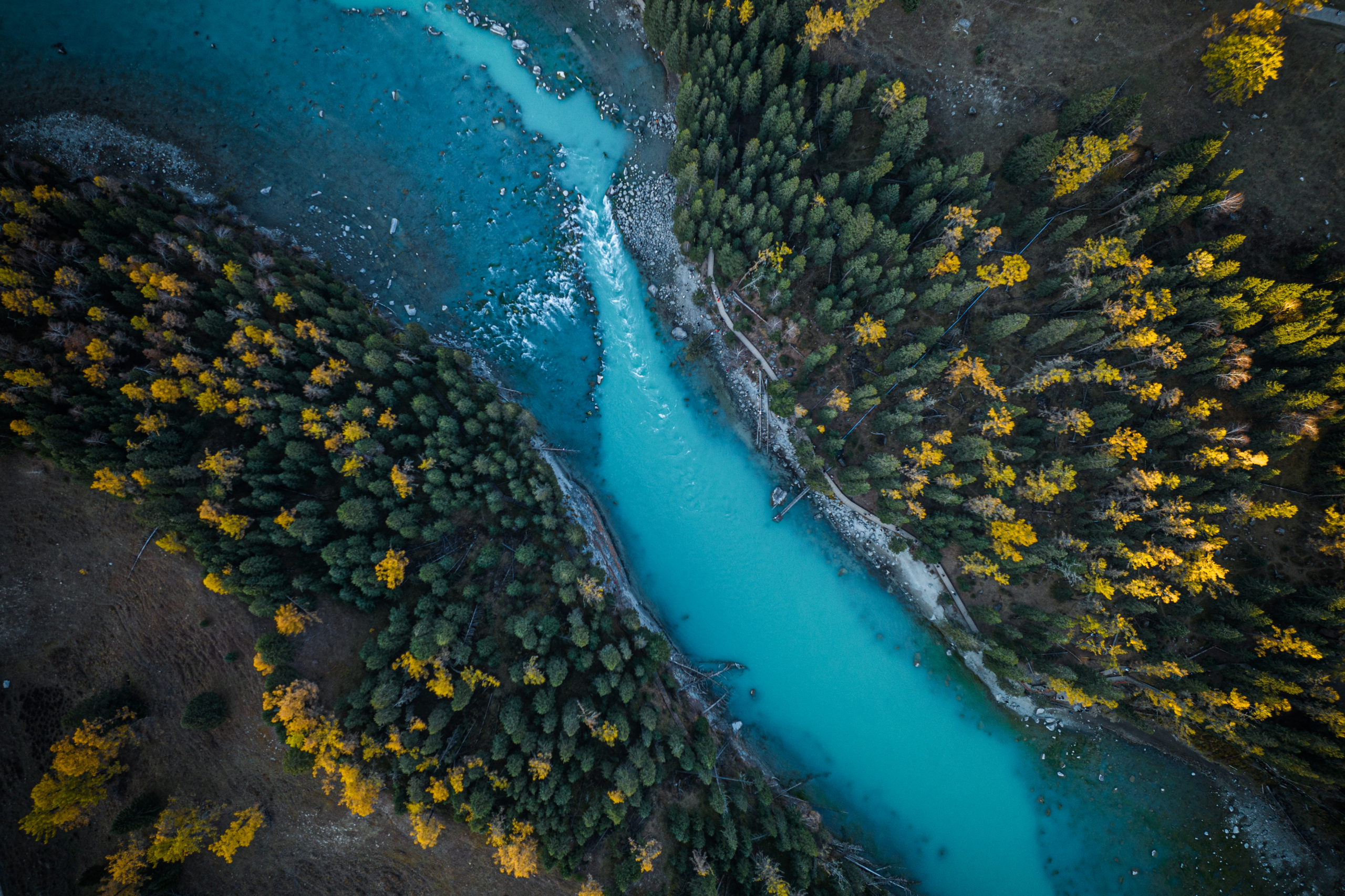 願景
